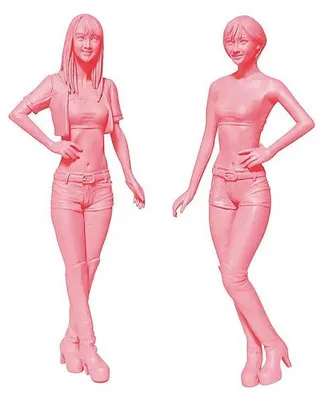 Produktbild von Hasegawa 29105 - 1/24 Combanion Girls, 2 Bausätze - Neu