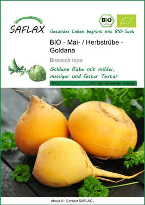Obrázek produktu pro SAFLAX - BIO - Kedlubny - Goldana - Brassica rapa - 500 Semena