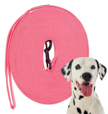 Produktbild von Ukory Trainingsleine für Hunde, 10m, Rosa