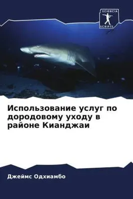 Produktbild von Ispol'zowanie uslug po dorodowomu uhodu w rajone Kiandzhai