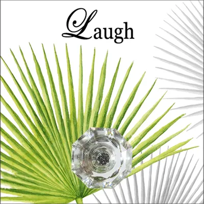 Produktbild von Wandhaken Leaf HTI-Line