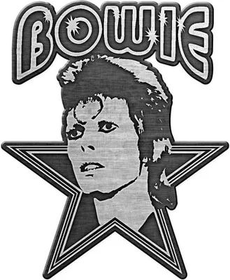 Obrázok produktu pre David Bowie - odznak "Aladdin Sane" - kovový RO8901 (jedna veľkosť) (čierna/strieborná)