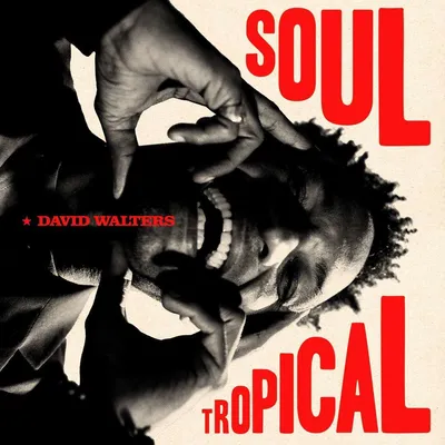 Obrázok produktu pre David Walters: (Vinyl / Pop (Vinyl))