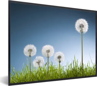 Produktbild von MuchoWow® Gerahmtes Poster Löwenzahn - Illustration - Gras 40x30 cm - Poster mit Schwarzem Bilderrahmen Wandposter Rahmen Foto Bilder - Kunstposter - Wanddekorationen