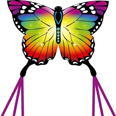 Obrázok produktu pre Detský šarkan HQ Butterfly Kite Rainbow 102223 Rainbow 95 x 120 cm + 190 cm chvost