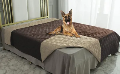 Obrázok produktu pre WIKEHOEX Obojstranná vodotesná podložka pre psov 75x175 cm do práčky Hnedá
