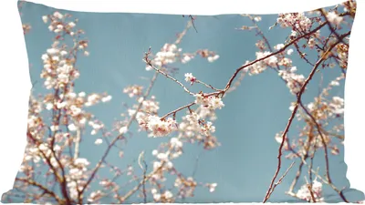 Produktbild von MuchoWow® Zierkissen Sofakissen Wohnzimmer Dekokissen 50x30 cm Blüte - Wohnzimmerdekoration - Polster mit Photo
