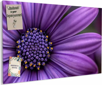 Produktbild von Magnettafel 60x40cm magnetisch & beschreibbar Metall-Board - Blume Nahaufnahme