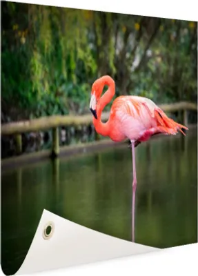 Produktbild von Gartenposter - 60x40 cm - Ein rosa Flamingo  - Modernes Wandbilder