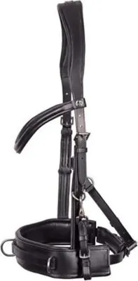 Produktbild von Harry´s Horse Comfort Trense Schwarz Full Schwarz Full
