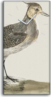 Produktbild von Leinwand Uhr Küche Wohnzimmer Bild Geräuschlos 30x60 Malerei Tier Vogel Kunst - weiße Hände