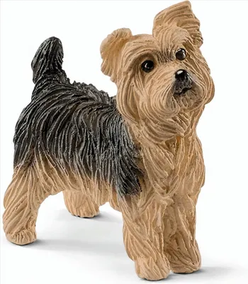 Produktbild von schleich Farm Life Yorkshire Terrier, 3 Jahr(e), Mehrfarbig, Kunststoff, 1 Stück(e)