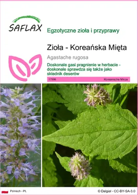 Zdjęcie produktu dla SAFLAX - Zioła - Koreańska Mięta - 1200 Nasiona - Agastache rugosa