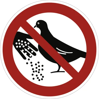 Produktbild von Dreifke® Alu-Schild "Tauben füttern verboten", Ø20cm, 1 Stück, Praxisbewährte...