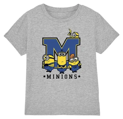 Obrázek produktu pro Tričko s motivem Minionů pro děti, model TV39547 (velikost 104), barva: sportovní heather