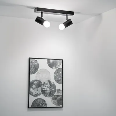 A black ceiling light fixture with two adjustable spotlights is mounted on a white ceiling. Below the light fixture, a framed piece of abstract art with circular patterns is hanging on a white wall.