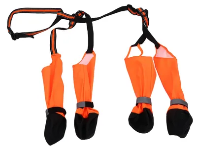 Zdjęcie produktu dla Buty dla psów z szelkami, oddychające, z regulowanym zapięciem na rzep, wodoodporne, chroniące łapy podczas spacerów na świeżym powietrzu, kolor pomarańczowy, rozmiar M