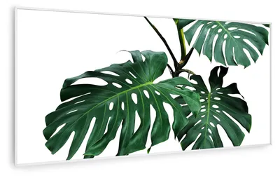 Produktbild von Klarstein Air Art Smart Infrarotheizung, Infrarot Heizung mit IoT/WiFi App-Steuerung, Erkennung Offener Fenster, Infrarotheizung mit Thermostat, Heizung zur Wandmontage, CO2-Freie Elektroheizung 700W