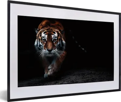 Produktbild von MuchoWow® Gerahmtes Poster Tiere - Tiger - Schwarz - Wild - Porträt 60x40 cm - Poster mit Schwarzem Bilderrahmen Wandposter Rahmen Foto Bilder - Schlafzimmer - Plakat in Rahmen - Drucken