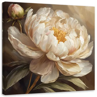 Produktbild von Leinwandbild Gemalte Pfingstrose 40x40 Feeby Beige bild für die wand bereit zum aufhängen