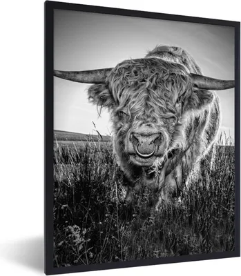 Produktbild von MuchoWow® Gerahmtes Poster Schottischer Highlander - Schwarz und Weiß 60x80 cm - Poster mit Schwarzem Bilderrahmen Wandposter Rahmen Foto Bilder - Premium - Wanddeko Wohnzimmer