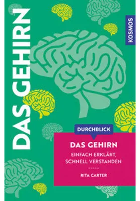 Image de Durchblick Das Gehirn