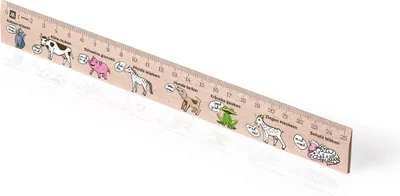 Obrázek produktu pro Metrie | Didakt-M07, Dřevěné pravítko s potiskem | Německá slovíčka | 25 cm