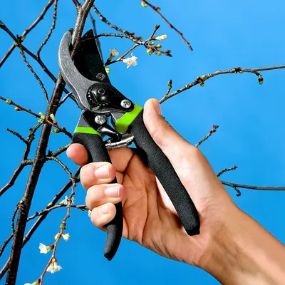 Immagine prodotto di forbici da potatura 21 cm grigio/verde