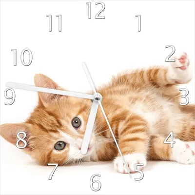 Produktbild von Wallario Design Wanduhr Süße Katze mit großen Augen - rot weiß getigert aus Echtglas, Größe 20 x 20 cm