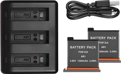 A black multi-bay battery charger with two batteries and a USB cable are displayed on a white background.