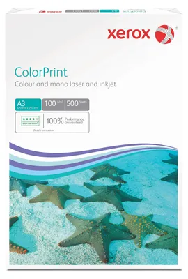 Obrázek produktu pro Xerox XPrint 003R95257 Kopírovací a víceúčelový papír - A3 - 297 mm x 420 mm - 100 g/m2 - hladký - 4 balení - bílý