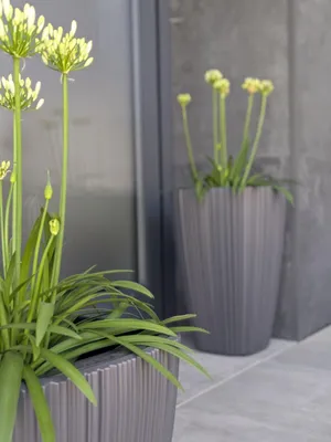 Immagine prodotto di Vaso da fiori ORO 29 cm - Colore: grigio scuro