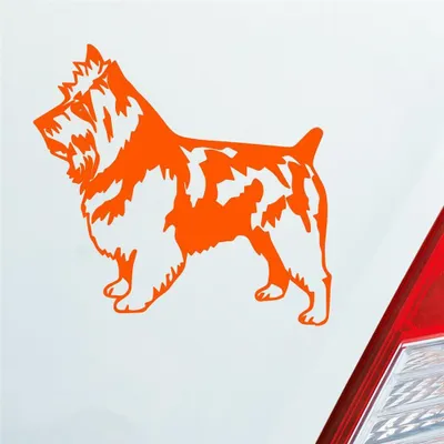 Produktbild von Auto Aufkleber Terrier Tier Hund Dog Animal 11x10 cm Orange Sticker Heckscheibenaufkleber
