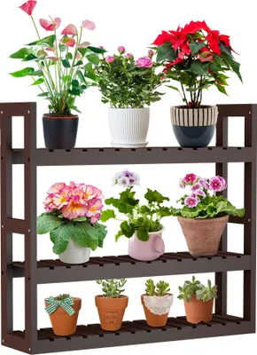 A three-tiered wooden shelf filled with various potted plants.