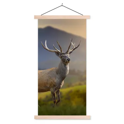 Produktbild von MuchoWow® Textilposter Hirsche - Berg - Gras - Sonnenuntergang - Tiere - Natur 60x120 cm mit holzfarbenen Rahmen - Holz