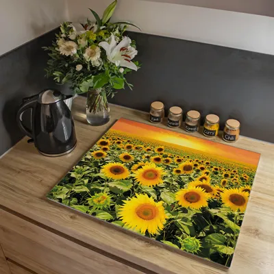 Produktbild von banjado Herdabdeckplatte einteilig 60x52cm groß mit Gummi Abstandshalter, ESG Sicherheitsglas mit Motiv Sonnenblumenmeer [HAP1 12283]