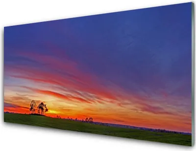Produktbild von Acrylglasbilder 100x50 Wandbild Druck Landschaft Feld Bäume Natur