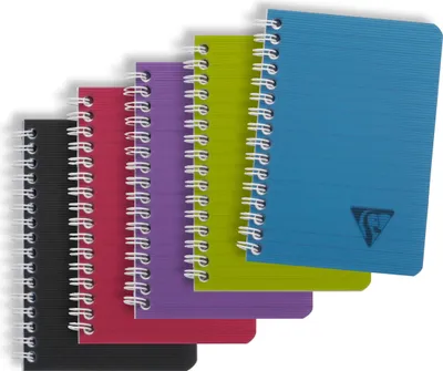 Produktbild von Clairefontaine 10x Doppelspiralbuch 9x14cm 50 Blatt liniert sortiert 329526C