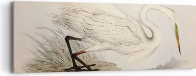 Produktbild von Bild auf Leinwand - Leinwandbild - Einteilig - Vogel Weiß Reiher - 90x30cm - Wand Bild - Wanddeko - Wandbilder - Leinwanddruck - Bilder - Wanddekoration - Leinwand bilder - Wandbild - AB90x30-4979