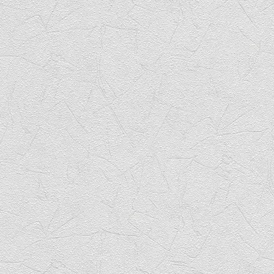 Produktbild von A.S. Création Vliestapete Meistervlies Pro Protect 2, weiss, überstreichbar, 10,05 m x 0,53 m, 571212, 5712-12