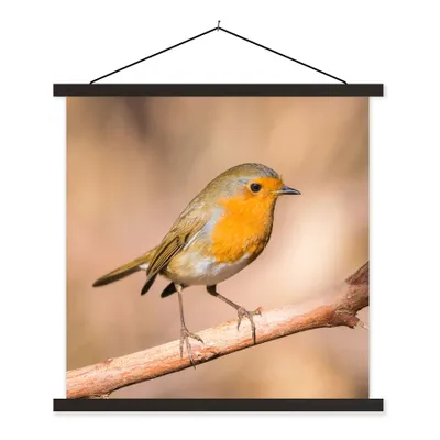 Produktbild von MuchoWow® Textilposter Vogel - Zweig - Rotkehlchen 90x90 cm mit schwarzem Rahmen - Magnetisches