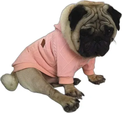 Produktbild von Bulldog Kapuzenpullover - Pink S