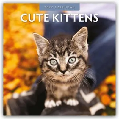 Immagine prodotto di Cuccioli di gatto - Calendario bimestrale 2027