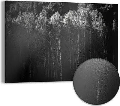 Produktbild von DEQORI Magnettafel Metall 60x40 cm 'Stille des Waldes' Whiteboard Pinnwand Büro