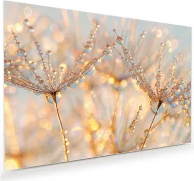 Produktbild von Glasbild 90x60cm in XXL für Wohnzimmer, Schlafzimmer Motiv Tautropfen Panorama