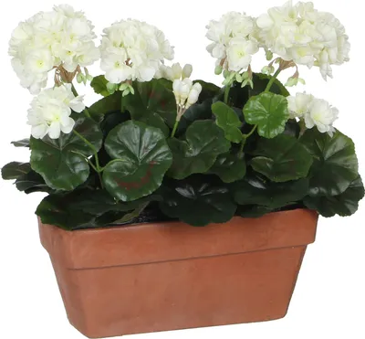 Zdjęcie produktu dla Mica Decorations Geranium sztuczna roślina w skrzynce balkonowej - dł. 29 x szer. 13 x wys. 40 cm - Biały