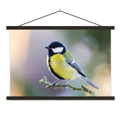 Produktbild von MuchoWow® Textilposter Kohlmeise - Vogel - Zweig 60x40 cm mit schwarzem Rahmen - Hölzernes