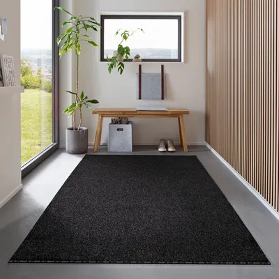Image de Carpetsale24 Tapis à Poils Courts pour Salon Design Uni Moderne Entretien Facile Idéal pour Chambre à Coucher, Taille: 120x170 cm