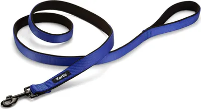 Produktbild von Karlie Art Sportiv Premium - Hundeleinen - Nylon - Blau - 180x2,5 cm