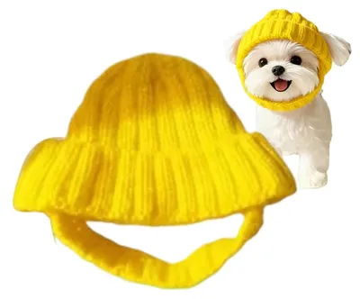 Imagen del producto de Gorro cálido e impermeable para perros